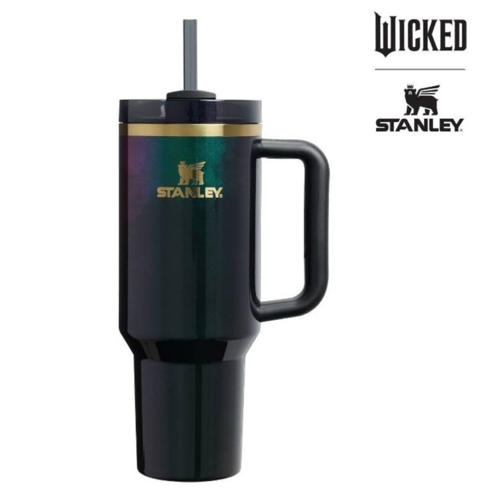 New Stanley Wicked Elphaba for Good 30oz Tumbler from Target - READ DESCRIPTION